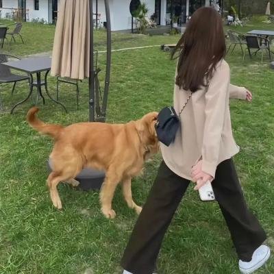 钻石手臂